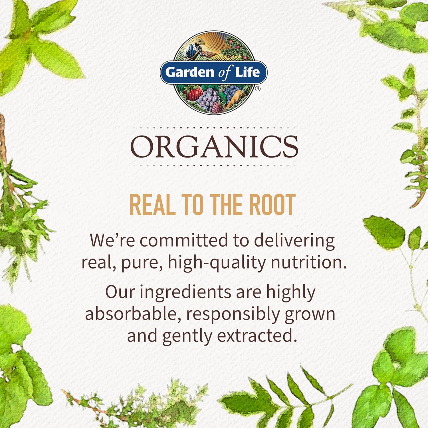 Garden of Life Organics Men's 40+ Multivitamin with Prostate Support, B12 & Vitamins – Vegan Daily Whole Food Multivitamin, Non-GMO, Certified Organic, 60 Tablets