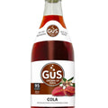 GuS Soda - Dry Cola - 12 oz