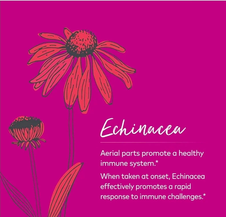 Gaia Herbs Echinacea Supreme - Immune Support Supplement - Echinacea Purpurea & Angustifolia Blend to Support Immune System - 30 Vegan Liquid Phyto-Capsules (15-Day Supply)